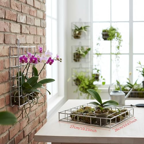 Dranvosk Staghorn Fern Mount Kit - Rustproof 304 Stainless Steel Vertical Hanging Basket for Orchids & Outdoor Plants, Wall Planter Holder Indoor Garden (10.6 x 10.2 x 1.96 Inch) - Image 4