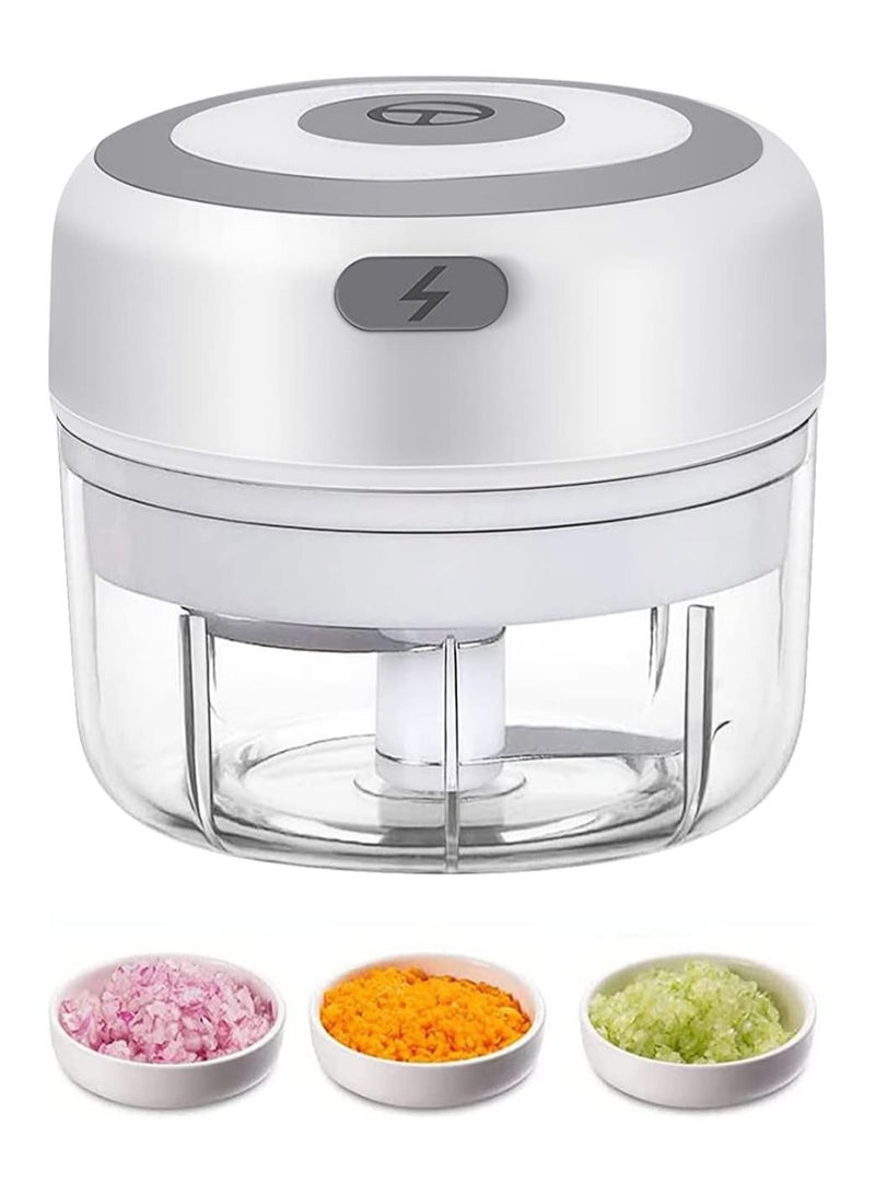 عام مفرمة ثوم كهربائية صغيرة، مفرمة طعام صغيرة USB سعة 100 مل، مفرمة ثوم، مفرمة خضروات، مفرمة بصل، محضرة طعام صغيرة محمولة للثوم والزنجبيل والفلفل الحار والخضروات - Image 1