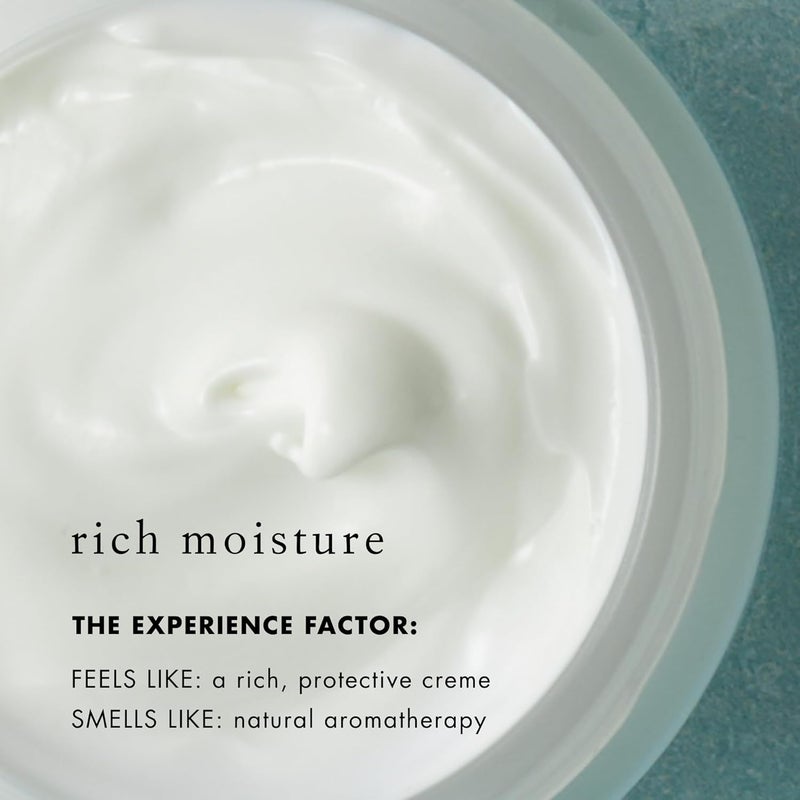 Bioelements Broad Spectrum SPF 50 FaceScreen - Daily Moisturizer for All Skin Types, 68ml - Image 4