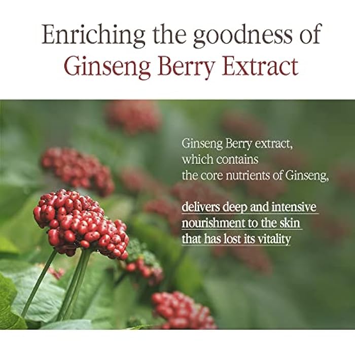 Pyunkang Yul PKY Black Tea Boosting Serum for Anti-aging, Condensed Nutrition for Fine Line Care with Kombucha, Ginseng Fruit Extract, Zero-Irritation, Korean Skincare (1.52 Fl. Oz, 45ml) - Image 5