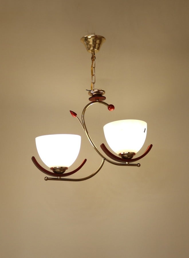 Fiamco Modern chandelier - 20218-2P - Image 2