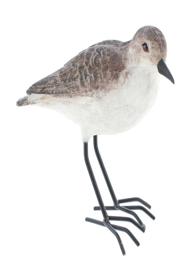 The Bridge Collection Realistic Shorebird Figure - Resin Sandpiper Bird Statue - Tabletop Beach Decor for Lake House, Coastal - Oceanside Decor Accents for Home - Image 1