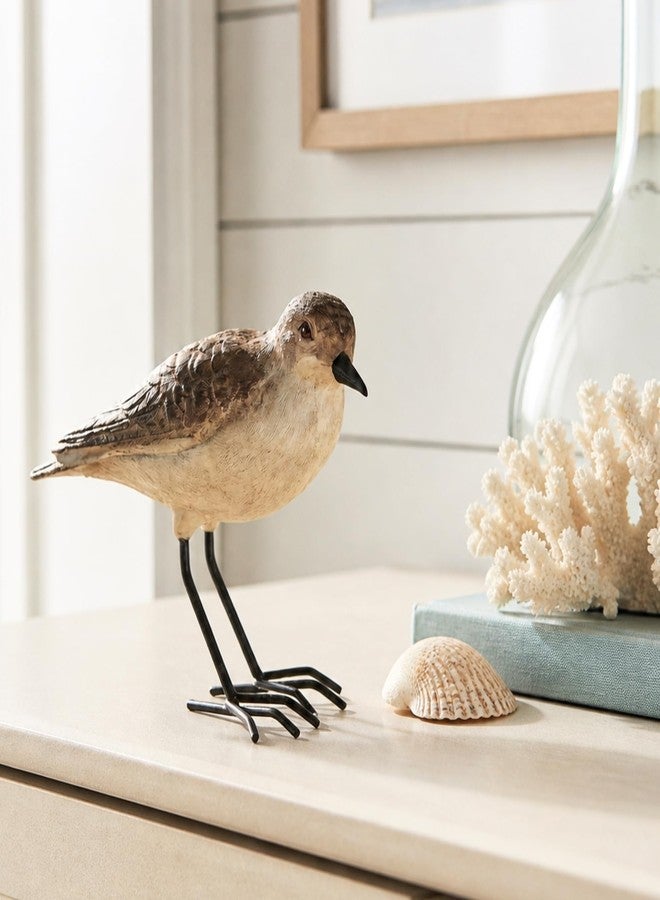 The Bridge Collection Realistic Shorebird Figure - Resin Sandpiper Bird Statue - Tabletop Beach Decor for Lake House, Coastal - Oceanside Decor Accents for Home - Image 2