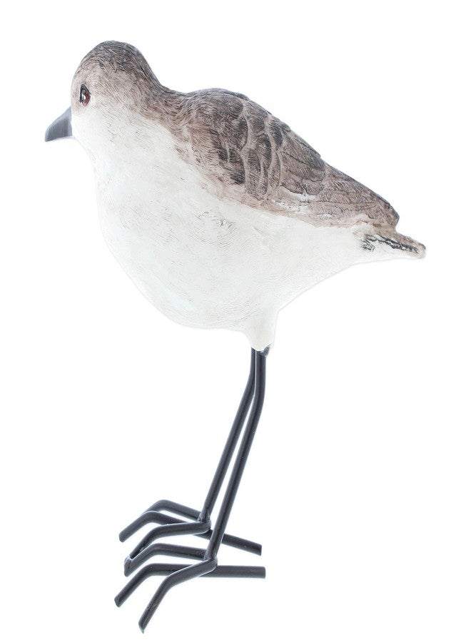 The Bridge Collection Realistic Shorebird Figure - Resin Sandpiper Bird Statue - Tabletop Beach Decor for Lake House, Coastal - Oceanside Decor Accents for Home - Image 5