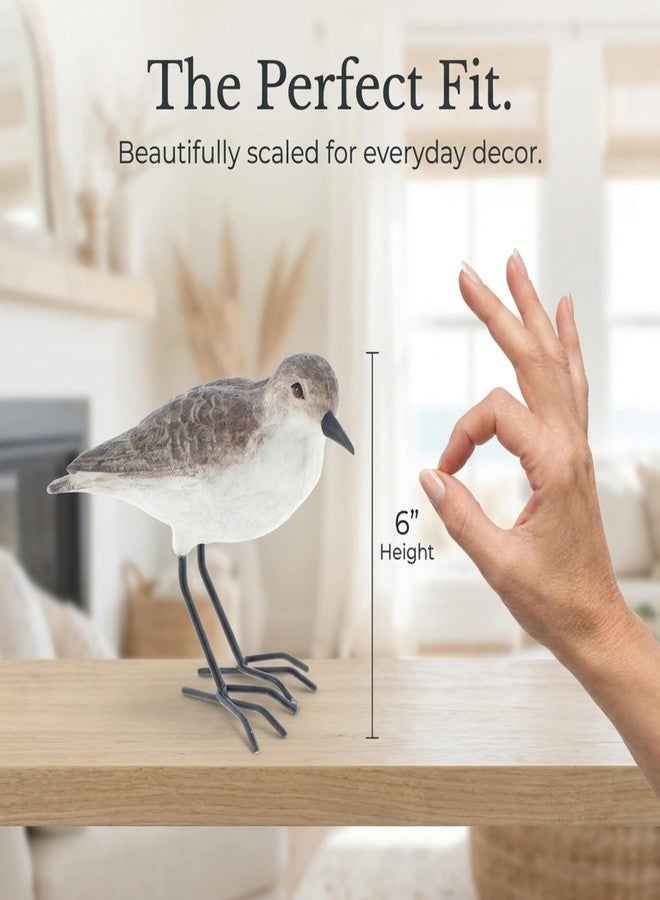 The Bridge Collection Realistic Shorebird Figure - Resin Sandpiper Bird Statue - Tabletop Beach Decor for Lake House, Coastal - Oceanside Decor Accents for Home - Image 3