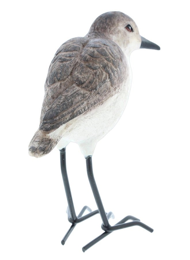 The Bridge Collection Realistic Shorebird Figure - Resin Sandpiper Bird Statue - Tabletop Beach Decor for Lake House, Coastal - Oceanside Decor Accents for Home - Image 4