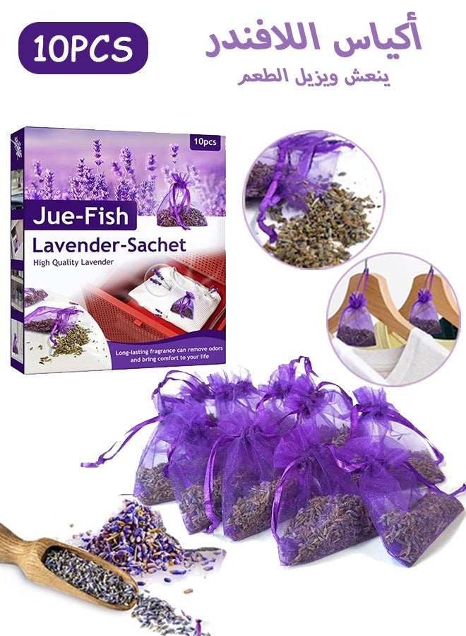 كوانتوم 10 قطع من أكياس اللافندر، معطر جو يدوم طويلاً، يُستخدم في خزائن الملابس والأدراج والسيارات برائحة منعشة - Image 1