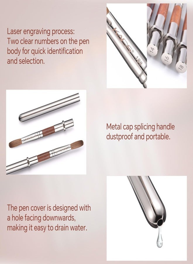 KADS Acrylic Nail Brush with Penholder Nail Brush for Acrylic Application-Oval Shaped Powder Nail Design Tools for Professional Manicure DIY Home Salon (12#) - Image 5