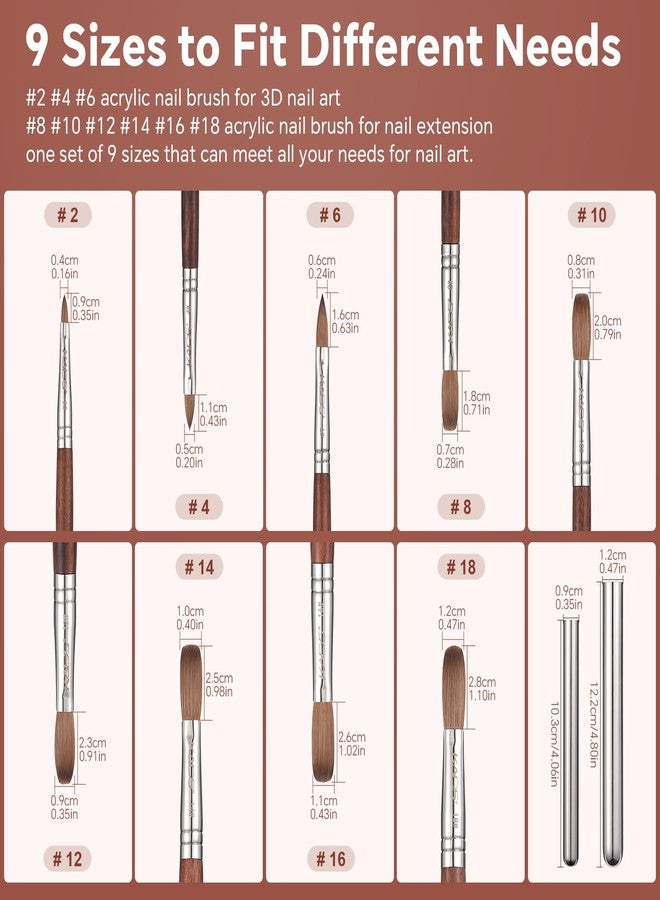 KADS Acrylic Nail Brush with Penholder Nail Brush for Acrylic Application-Oval Shaped Powder Nail Design Tools for Professional Manicure DIY Home Salon (12#) - Image 4