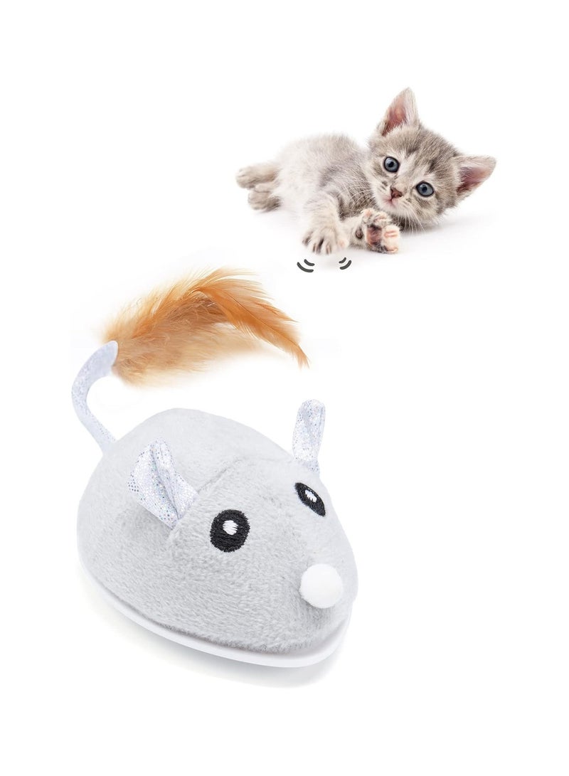 Interactive Cat Toys, Indoor Cat Toys Cat Feather Toys Automatic Cat Toys Cat Mouse Toys with Feather Tail Kitten Toys with USB Charging - Image 1