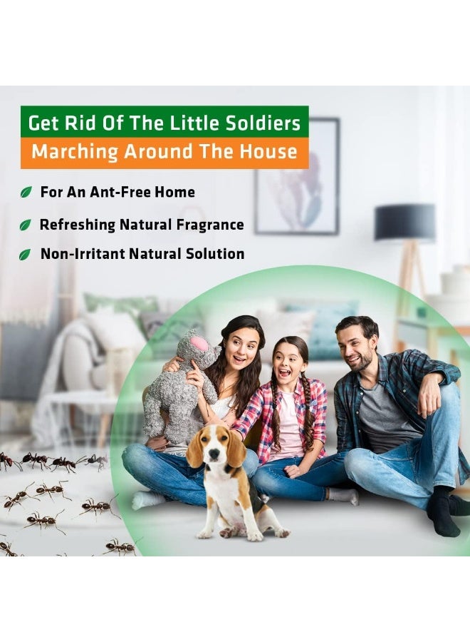 Herbal Strategi STRATEGI Herbal JustOut Ant Repellent Spray | Ant Repellent for Home | Baby-Safe, Pet-Friendly | 100% Herbal | Eco-friendly, Non-toxic (100ML) - Image 4