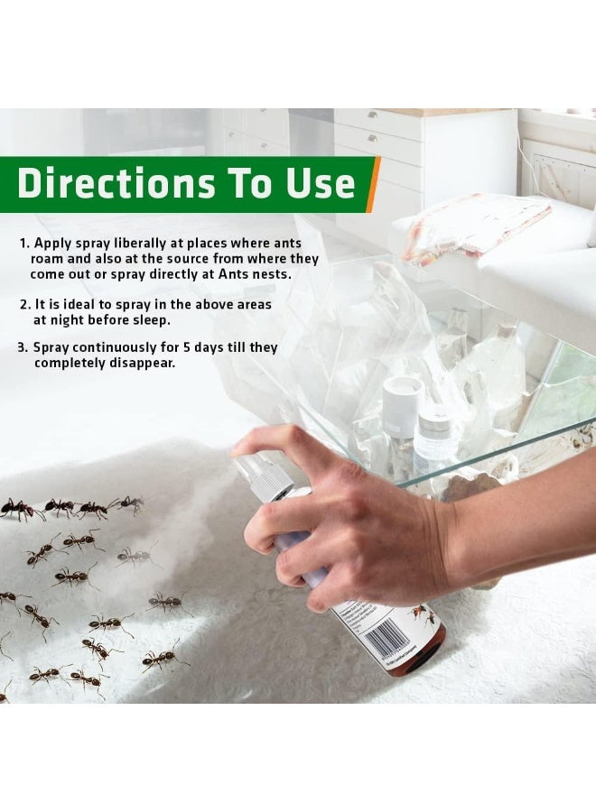 Herbal Strategi STRATEGI Herbal JustOut Ant Repellent Spray | Ant Repellent for Home | Baby-Safe, Pet-Friendly | 100% Herbal | Eco-friendly, Non-toxic (100ML) - Image 3