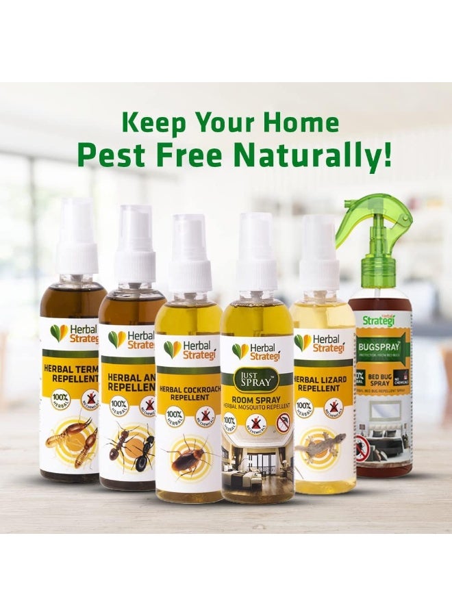 Herbal Strategi STRATEGI Herbal JustOut Ant Repellent Spray | Ant Repellent for Home | Baby-Safe, Pet-Friendly | 100% Herbal | Eco-friendly, Non-toxic (100ML) - Image 5