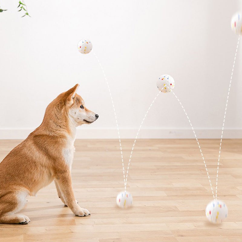 Household Pet Chew Toy High Resilience Pet Toy Bite Resistant Pet Plaything - Image 5
