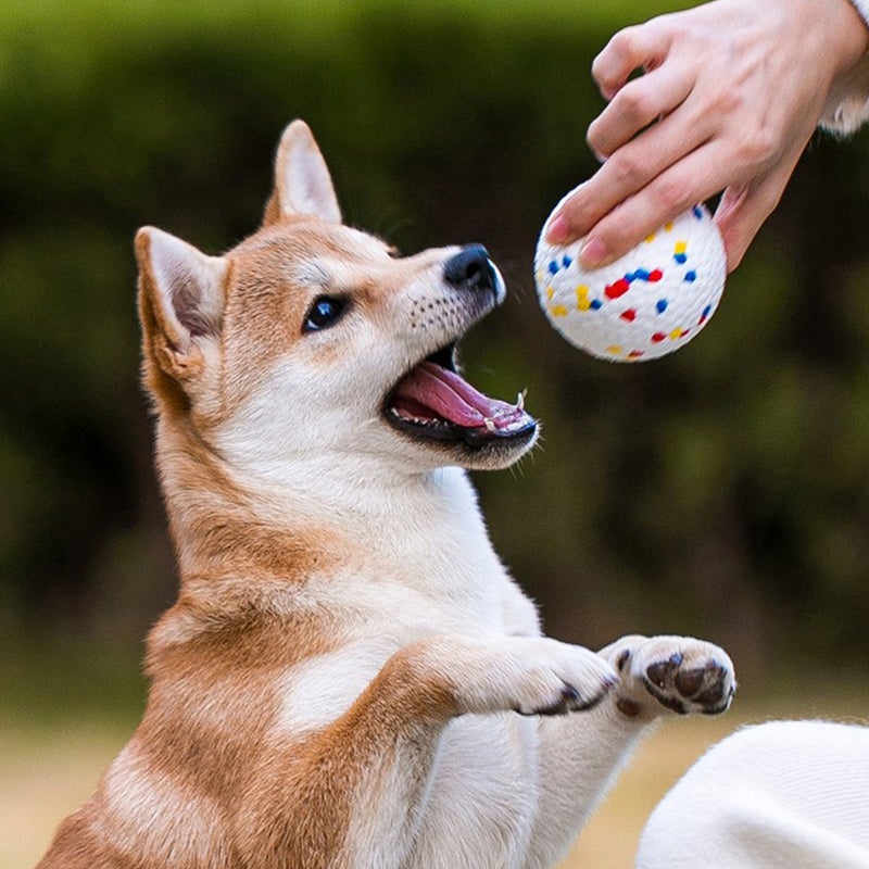 Household Pet Chew Toy High Resilience Pet Toy Bite Resistant Pet Plaything - Image 4