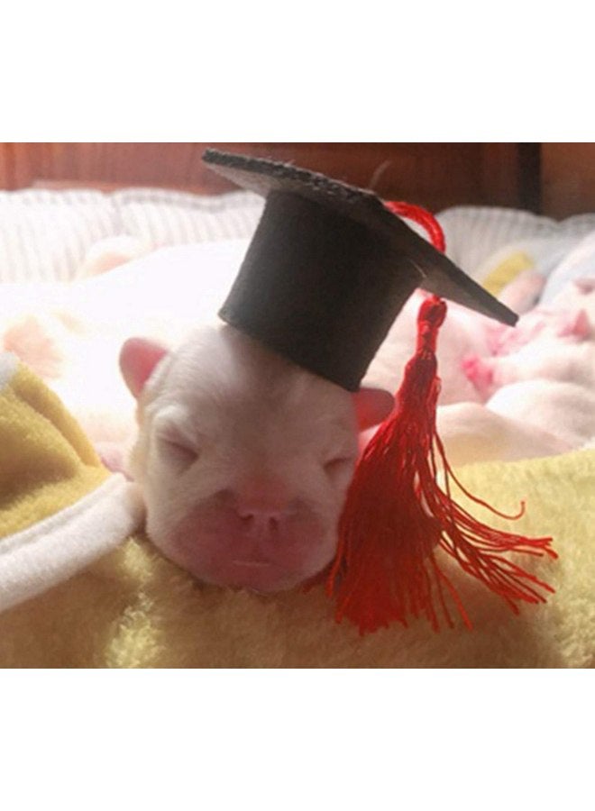 Dzrige Small Animal Graduation Caps Mini Bachelor Hats with Tassel Graduation Photo Props Hat Holiday Costume Accessory, 2Pcs (Black) - Image 5