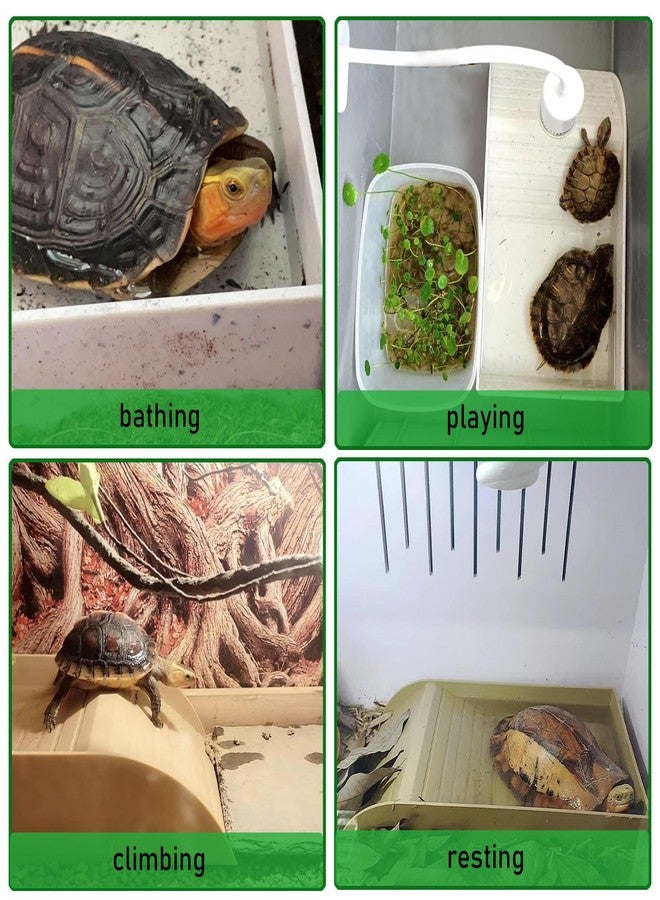 DBYANAN 3pcs Tortoise Water Dish with Ramp Turtle Food Water Bowls Rock Reptile Water Dish Tortoises Habitat Accessories Turtle Reptile Bathing Pool (Brown) - Image 2