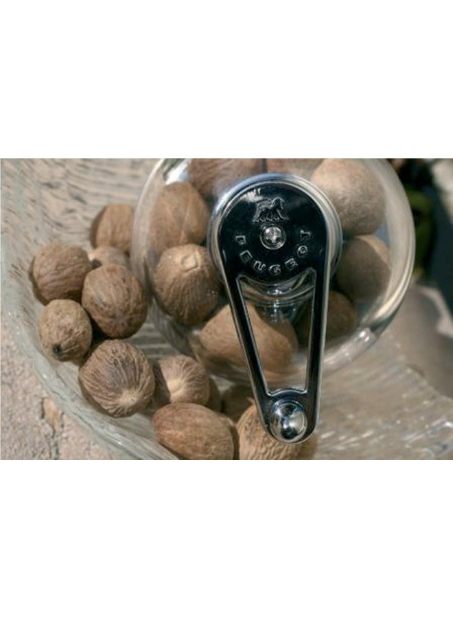 PEUGEOT Tidore Nutmeg Mill 11cm Acrylic - Image 2