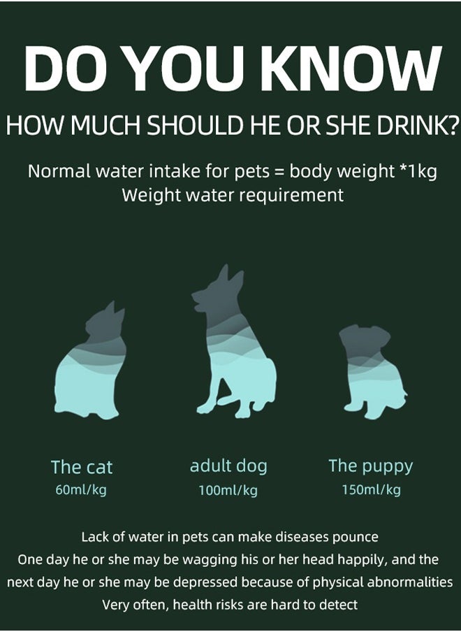 LAPET Pet Water Fountain 304 Stainless Steel, 2L Automatic Water Dispenser with Ultra-Quiet Pump with Filters Drinking Bowl for Cats  - Image 2