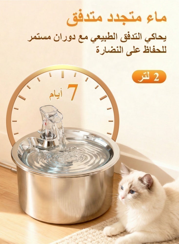 LAPET Pet Water Fountain 304 Stainless Steel, 2L Automatic Water Dispenser with Ultra-Quiet Pump with Filters Drinking Bowl for Cats - Image 2