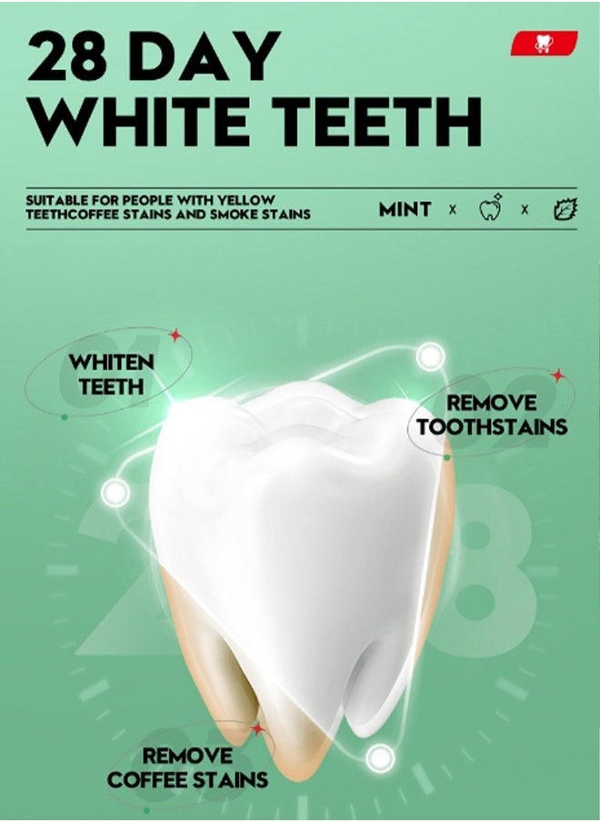 SADOER Spearmint mint Toothpaste，Fresh Toothpaste, Whitening Toothpaste , Clean Mint Toothpaste for Bad Breath, Helps Fight Cavities, Whitens Teeth, and Freshens Breath 100g  - Image 4