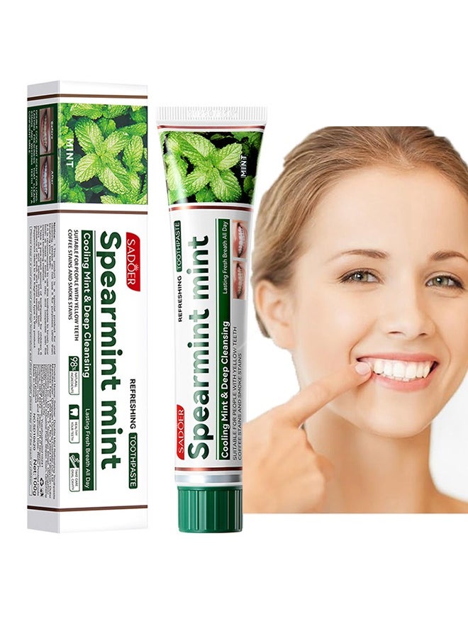 SADOER Spearmint mint Toothpaste，Fresh Toothpaste, Whitening Toothpaste , Clean Mint Toothpaste for Bad Breath, Helps Fight Cavities, Whitens Teeth, and Freshens Breath 100g  - Image 1