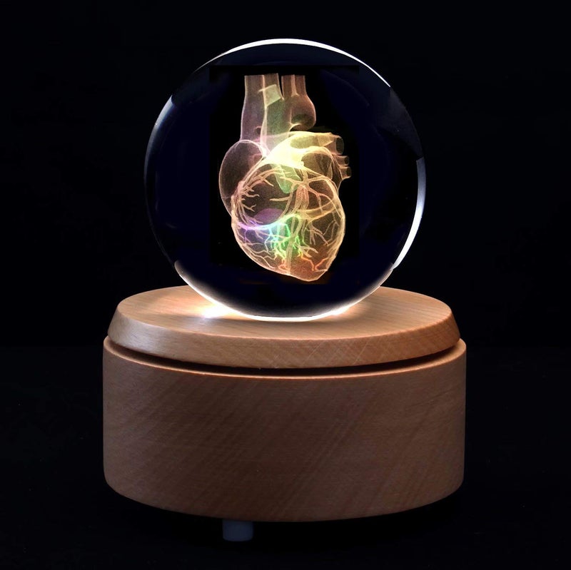 XINDAM 3D Human Heart Anatomical Model Paperweight(Laser Etched) in Crystal Glass Ball Science Gift (Included LED Base) - Image 3