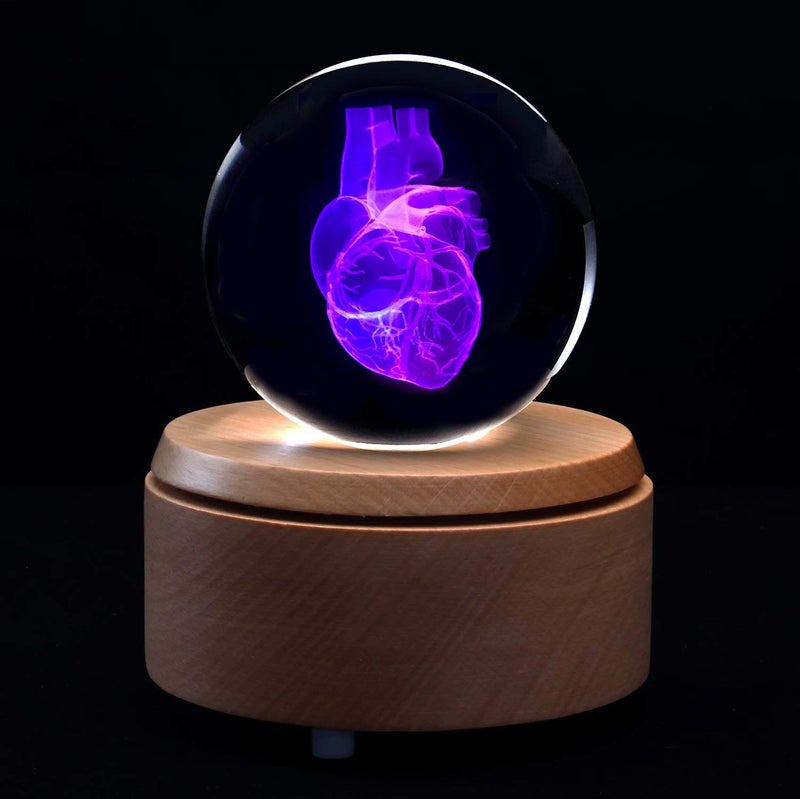 XINDAM 3D Human Heart Anatomical Model Paperweight(Laser Etched) in Crystal Glass Ball Science Gift (Included LED Base) - Image 5