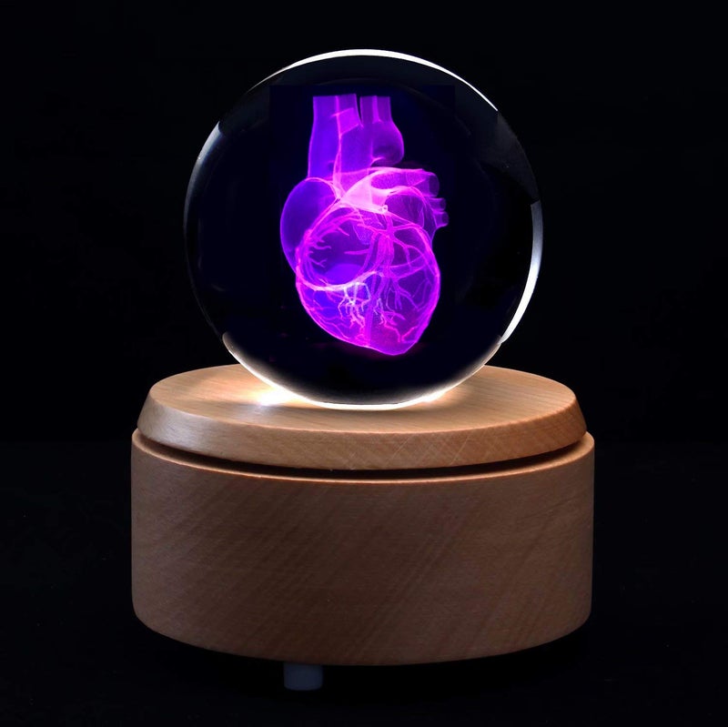 XINDAM 3D Human Heart Anatomical Model Paperweight(Laser Etched) in Crystal Glass Ball Science Gift (Included LED Base) - Image 2