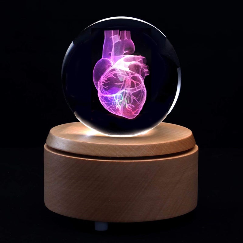 XINDAM 3D Human Heart Anatomical Model Paperweight(Laser Etched) in Crystal Glass Ball Science Gift (Included LED Base) - Image 4