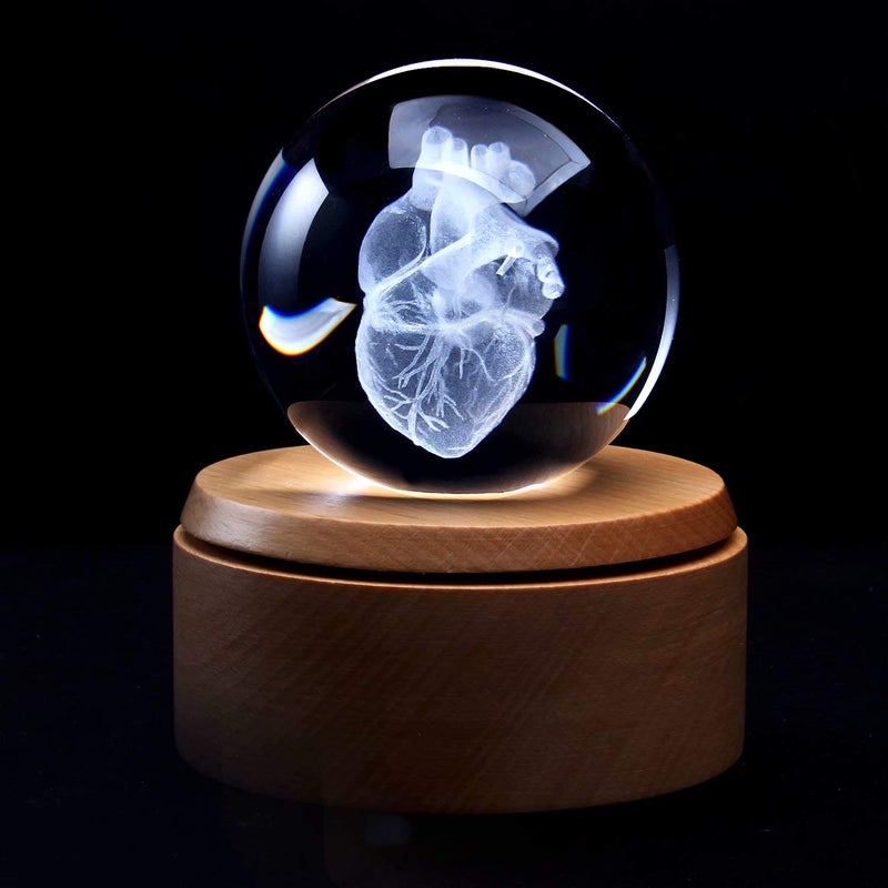 XINDAM 3D Human Heart Anatomical Model Paperweight(Laser Etched) in Crystal Glass Ball Science Gift (Included LED Base) - Image 1