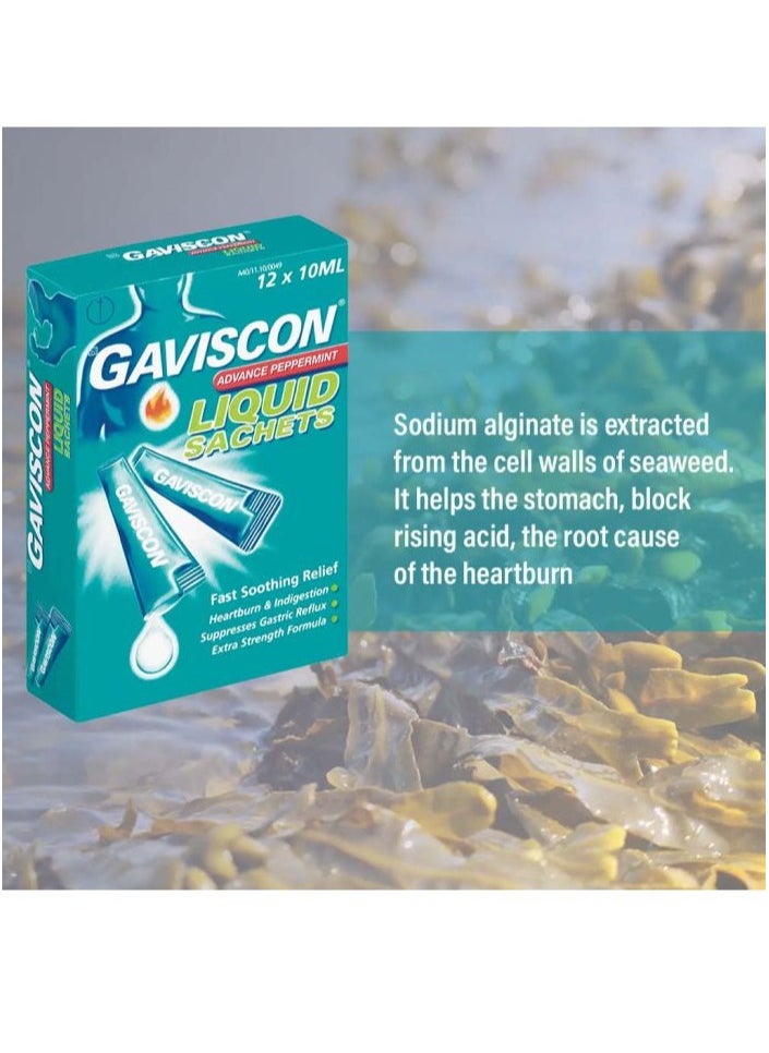 GAVISCON - Gaviscon Advance Peppermint Liquid For Heartburn 10ml, Pack of 12 Sachets - Image 1