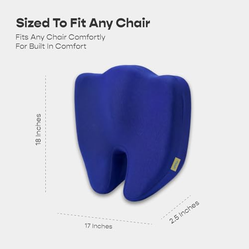 SleepyCat Pro Seat Cushion | Ergonomic Memory Foam Cushion | Enhanced Comfort Posture Support | Premium Perforated Breathable Foam | Anti-Skid Base | Washable Cover | Office Chair Car Seat | Blue - Image 2