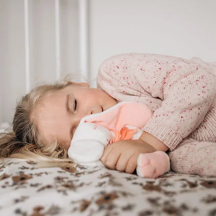 Maud N Lil Organic Bunny Comforter Gift Box