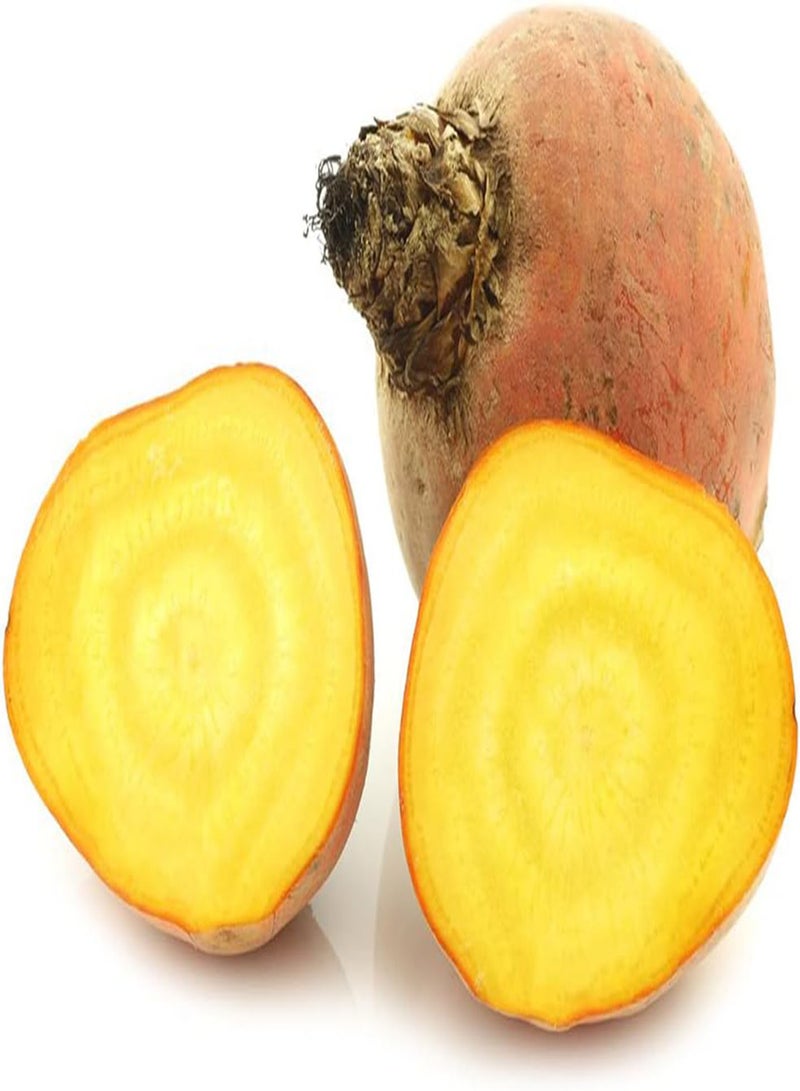 جي جوت 50 قطعة من بذور البنجر الصفراء المتنوعة الخاصة للزراعة في حدائق الخضروات الغنية بالعناصر الغذائية والتي نالت استحسانًا بالإجماع - Image 2