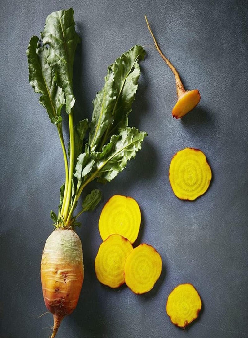 جي جوت 50 قطعة من بذور البنجر الصفراء المتنوعة الخاصة للزراعة في حدائق الخضروات الغنية بالعناصر الغذائية والتي نالت استحسانًا بالإجماع - Image 1