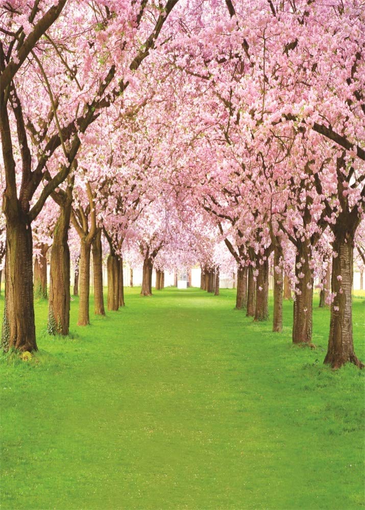 AOFOTO 5x7ft Spring Cherry Flower Photography Backdrop Pink Cherry Blossoms Green Grassland Garden Park Nature Scenery Background Floral Trees Pathway Road Kids Girls Birthday Photo Shoot Props - Image 1