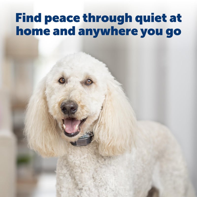 PetSafe Vibration Bark Control Collar - Ends Nuisance Barking - Gentle Vibration Correction - Durable Waterproof Design - Adjustable Fit Collar - Battery Operated Dog Training Tool - Image 3