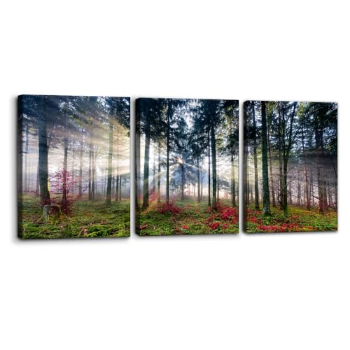 Pacimo 3 Pieces Canvas Wall Art Nature Landscape Sunrise Trees Pictures Painting Prints on Canvas Wall Decoration for Living Room Forest Framed Modern Artwork for Bedroom and Home Decor 12x16x3 - Image 1