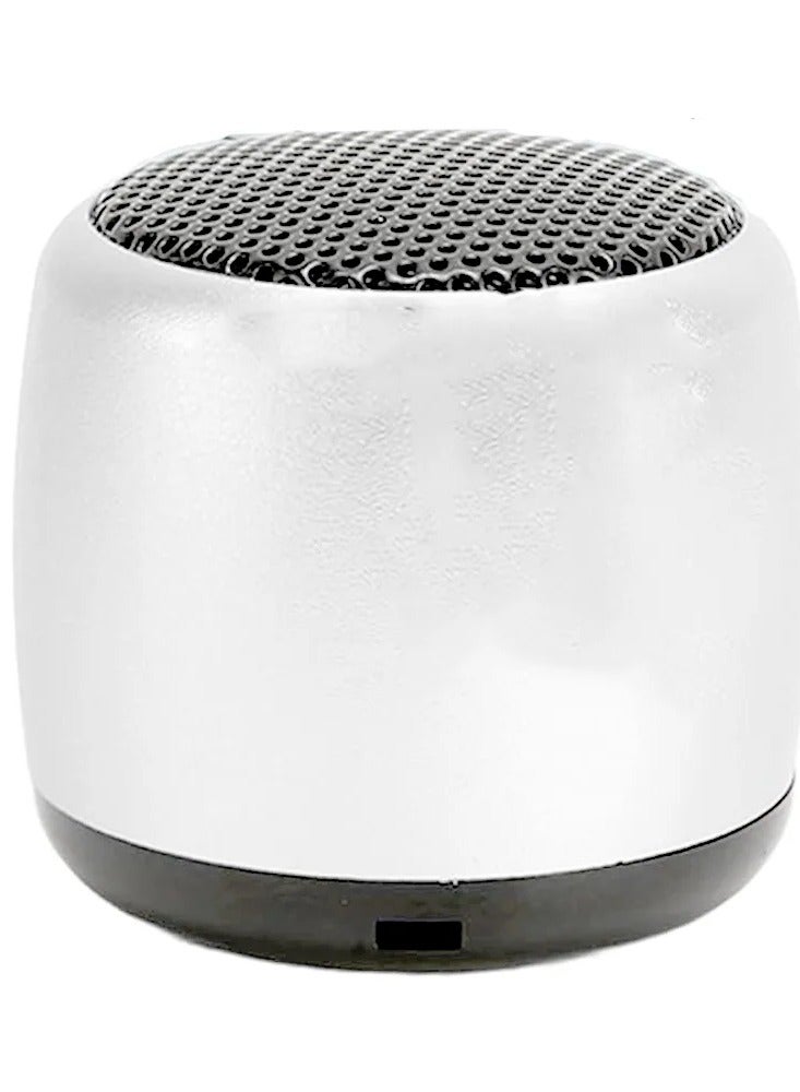 مكبر صوت BT MS01B فضي