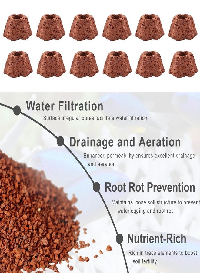 Hiyoo 12 Pcs Aquatic Plant Weights, Aquatic Water Plant Fixed Rings, Small Aquarium Plant Pot Gravity Ring for Fish Tank Landscape (ID 20mm) - Image 3