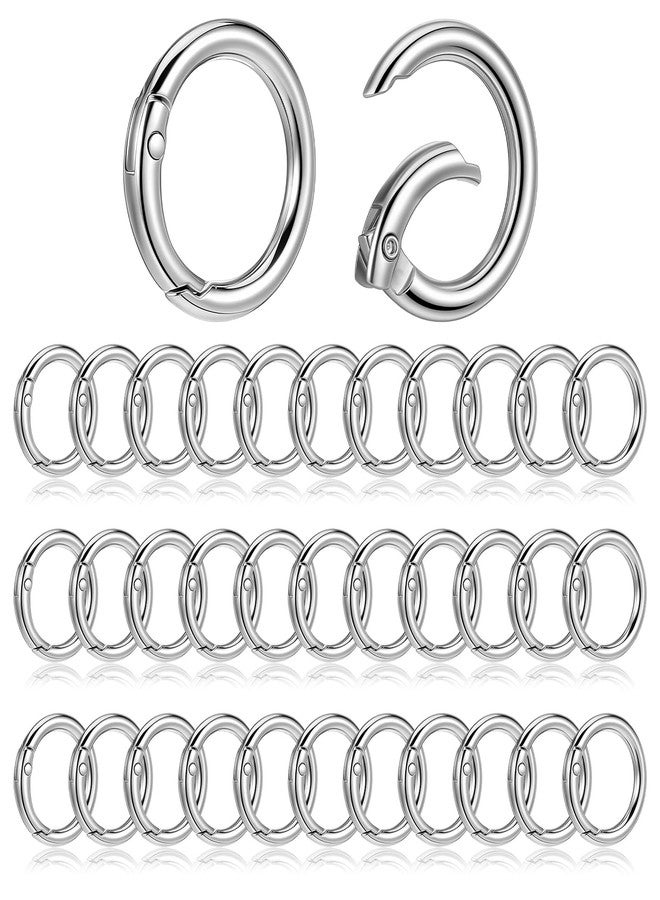 Caeuiciw 100 Pcs Spring O Rings Round Carabiner Snap Clip, 28MM Zinc Alloy Round Keychain Spring O Ring Clip, Bag, Purse, Handbag - Image 1