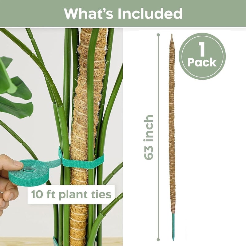 K-Brands 63'' Bendable Moss Pole Monstera Plant Support for Large Climbing Indoor Plants - Stakes for Potted Climbers - Tall Sticks Indoor Trellis for Houseplants - Accessories for Monstera Pot - Image 2