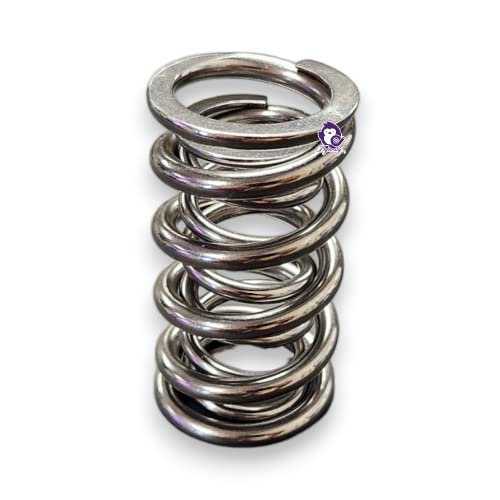 Dynosty Brian Tooley Racing BTR LS .660" Dual Valve Springs Platinum Kit with Retainers SK001 (Steel) - Image 5