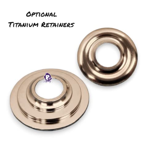Dynosty Brian Tooley Racing BTR LS .660" Dual Valve Springs Platinum Kit with Retainers SK001 (Steel) - Image 2