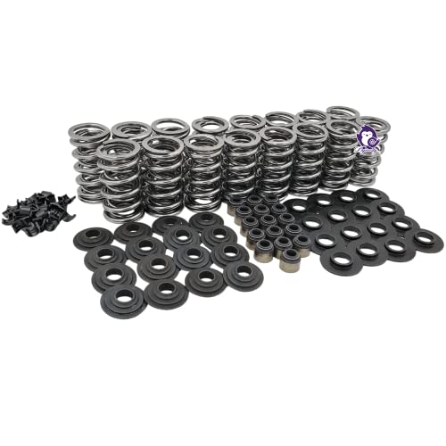 Dynosty Brian Tooley Racing BTR LS .660" Dual Valve Springs Platinum Kit with Retainers SK001 (Steel) - Image 4