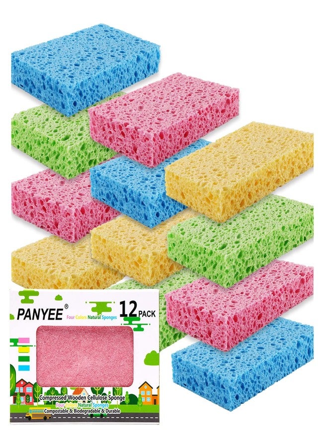 PANYEE Compressed Cellulose Kitchen Sponges 12Pack，Non-Scratch Biodegradable Natural Colorful Sponge Scrub for Dishes Cleaning,Funny DIY Sponge for Kids - Image 1