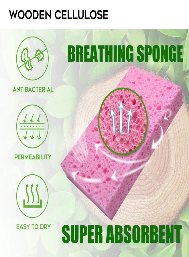 PANYEE Compressed Cellulose Kitchen Sponges 12Pack，Non-Scratch Biodegradable Natural Colorful Sponge Scrub for Dishes Cleaning,Funny DIY Sponge for Kids - Image 3