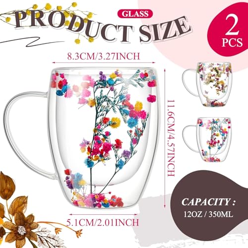 bellemax Double Wall Coffee Mug Double Layer Glass, Latte Cups, Cappuccino and Hot Chocolate Mugs with Handle, Clear Glass, Zero Lead for Hot & Cold Tea Milk Drinks Set of (Coffee Mug 300 ML, 2) - Image 5