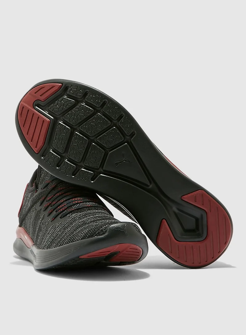 PUMA Ignite Flash evoKNIT